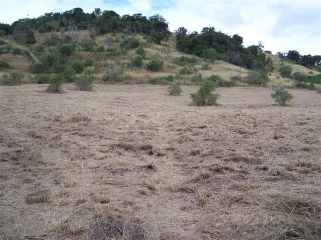 265 Spring Valley Road (West Stowe), GLADSTONE QLD 4680, Gladstone Central - Image 1