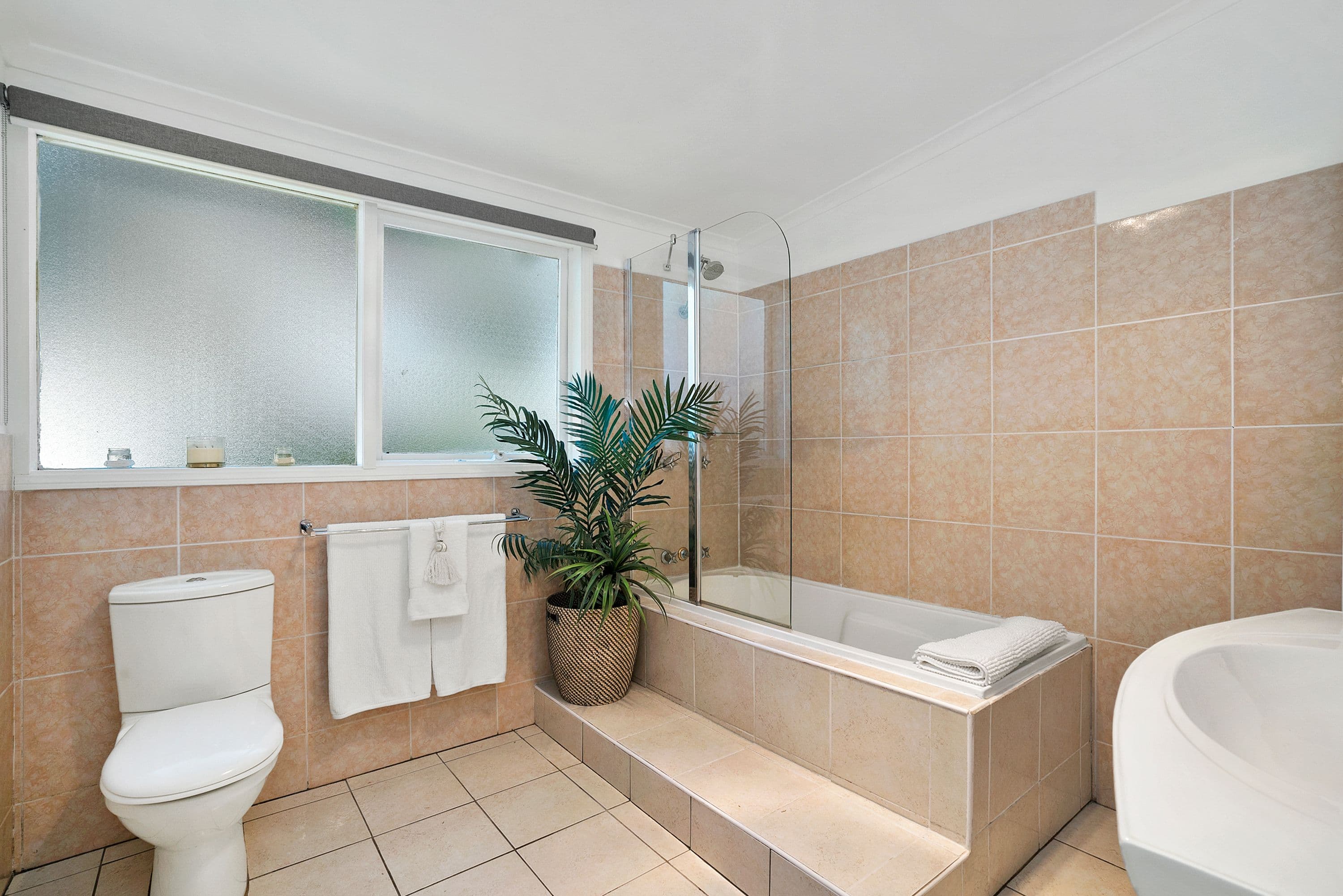 11 Virginia Place, Forestville - Thumbnail 4