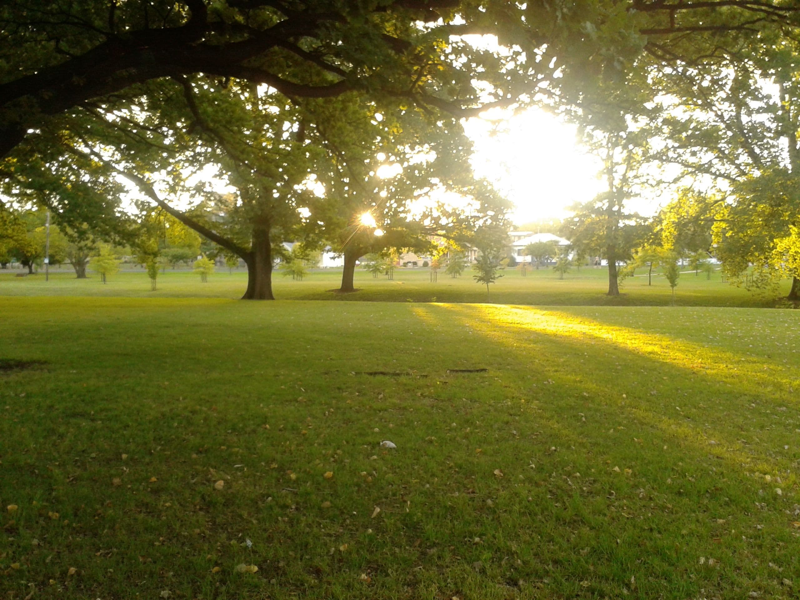 148 West Avenue, Glen Innes - Thumbnail 3