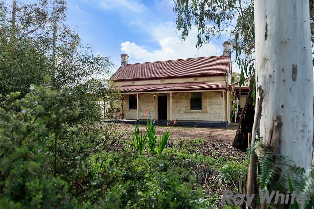 67a Main North Road, Willaston SA 5118, Willaston - Thumbnail 3