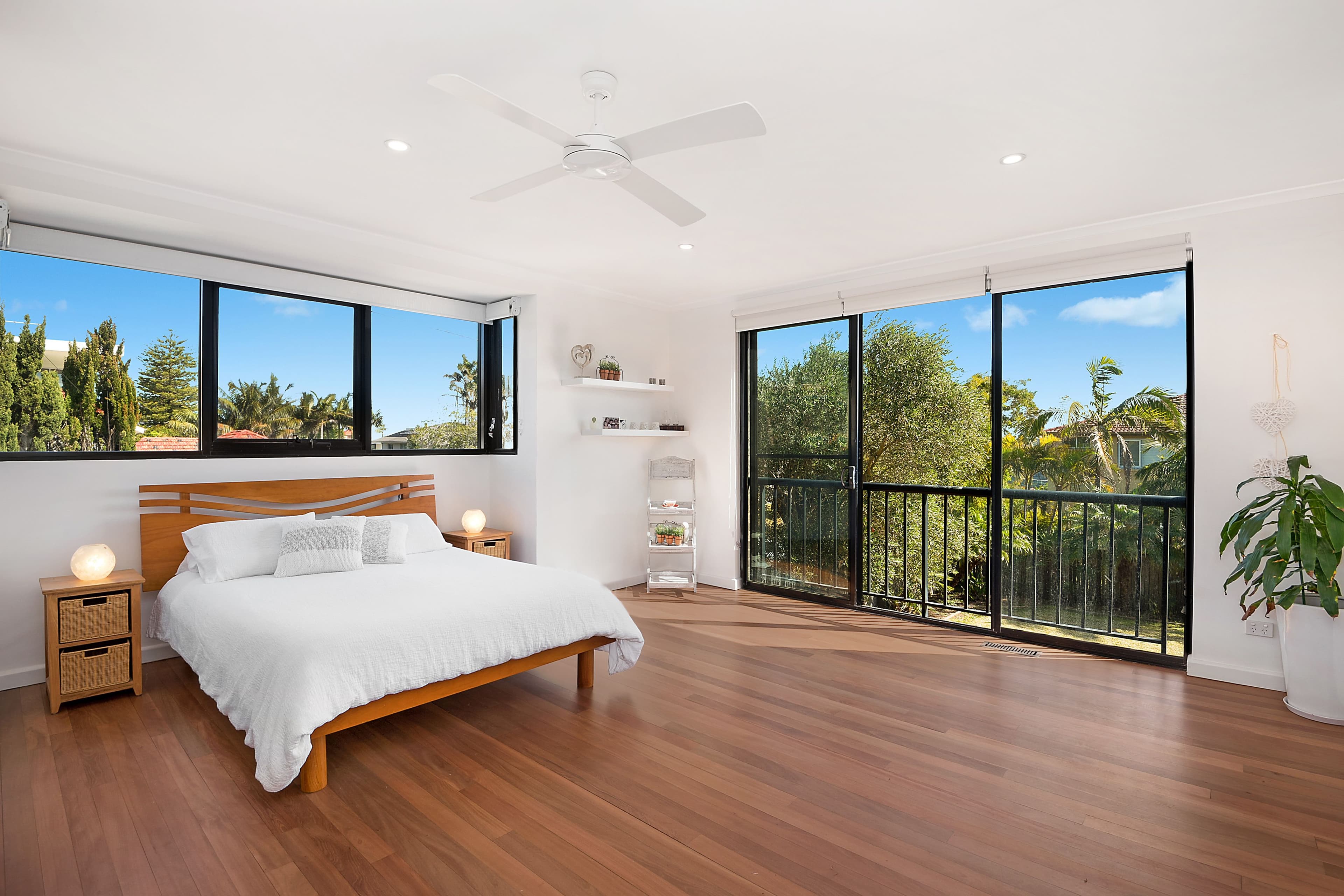 142 Military Road, Dover Heights - Thumbnail 8