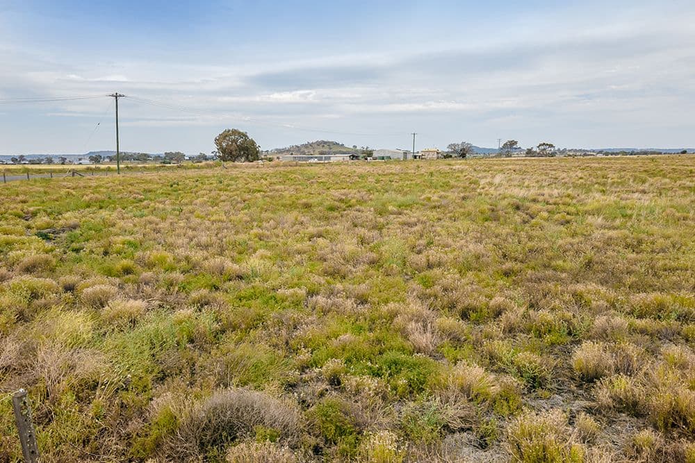 1344 Gore Highway (Bunkers Hill School Road), Westbrook QLD 4350, Westbrook - Thumbnail 4