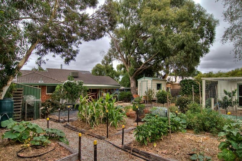 99 Clarendon Drive, SOMERVILLE VIC 3912, Somerville - Thumbnail 8