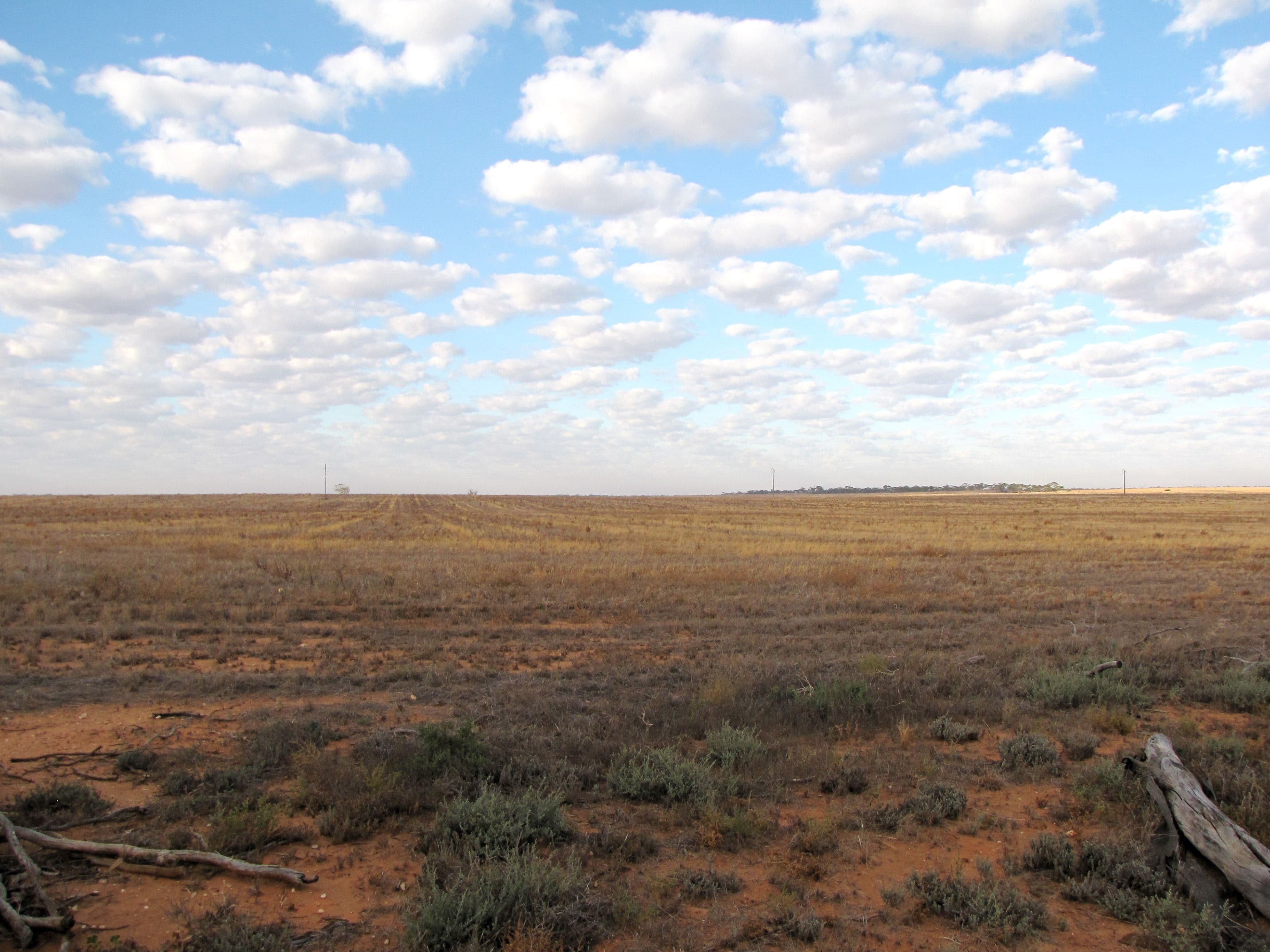 15578 Sturt Highway, Kingston On Murray SA 5331, Kingston On Murray - Thumbnail 8