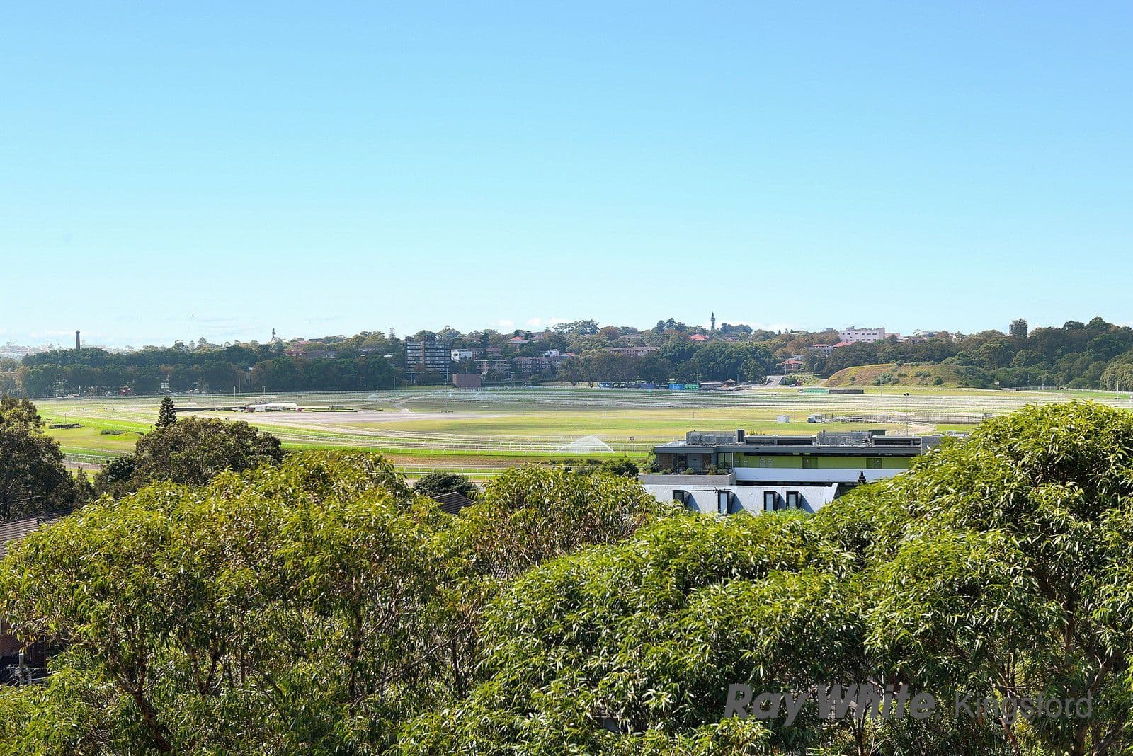 14 Darling Street, Kensington NSW 2033, Kensington - Thumbnail 5
