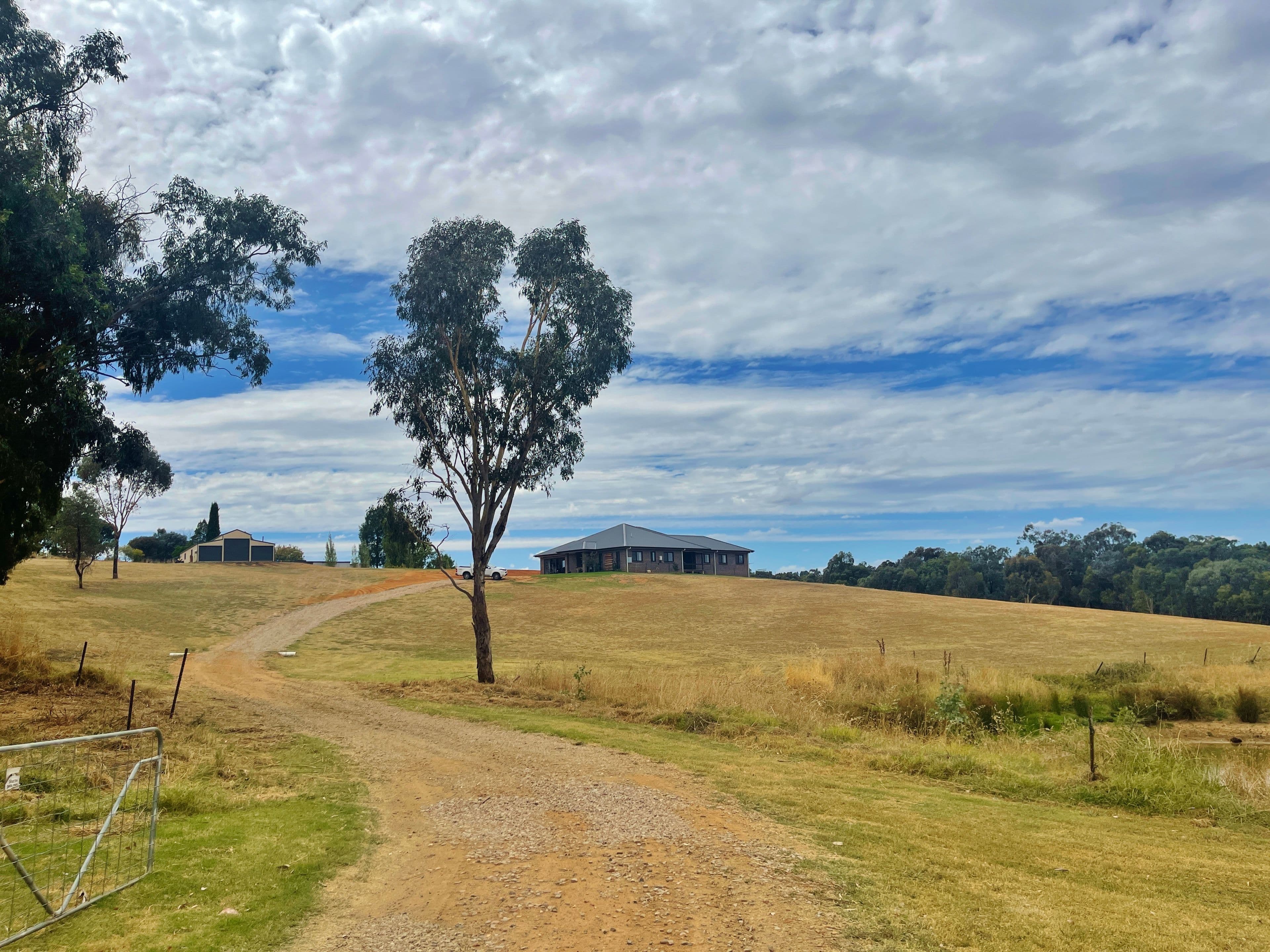 120 Commons Road, Young NSW 2594, Young - Thumbnail 5