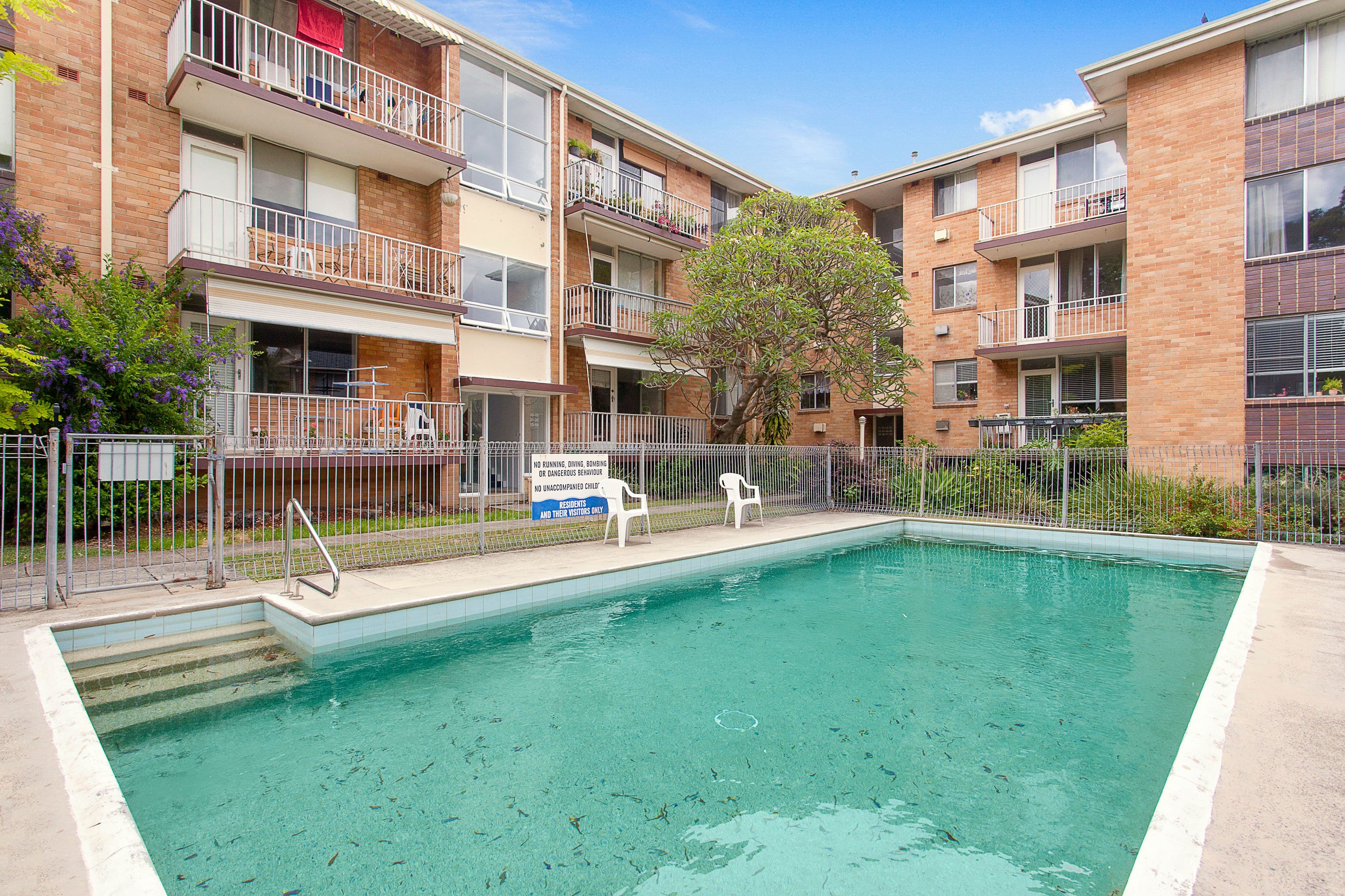 44 Ewart Street, Marrickville NSW 2204, Marrickville - Thumbnail 5