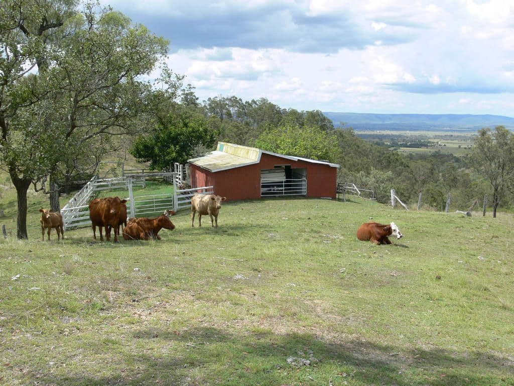 OTTABA QLD 4313, Ottaba - Thumbnail 3
