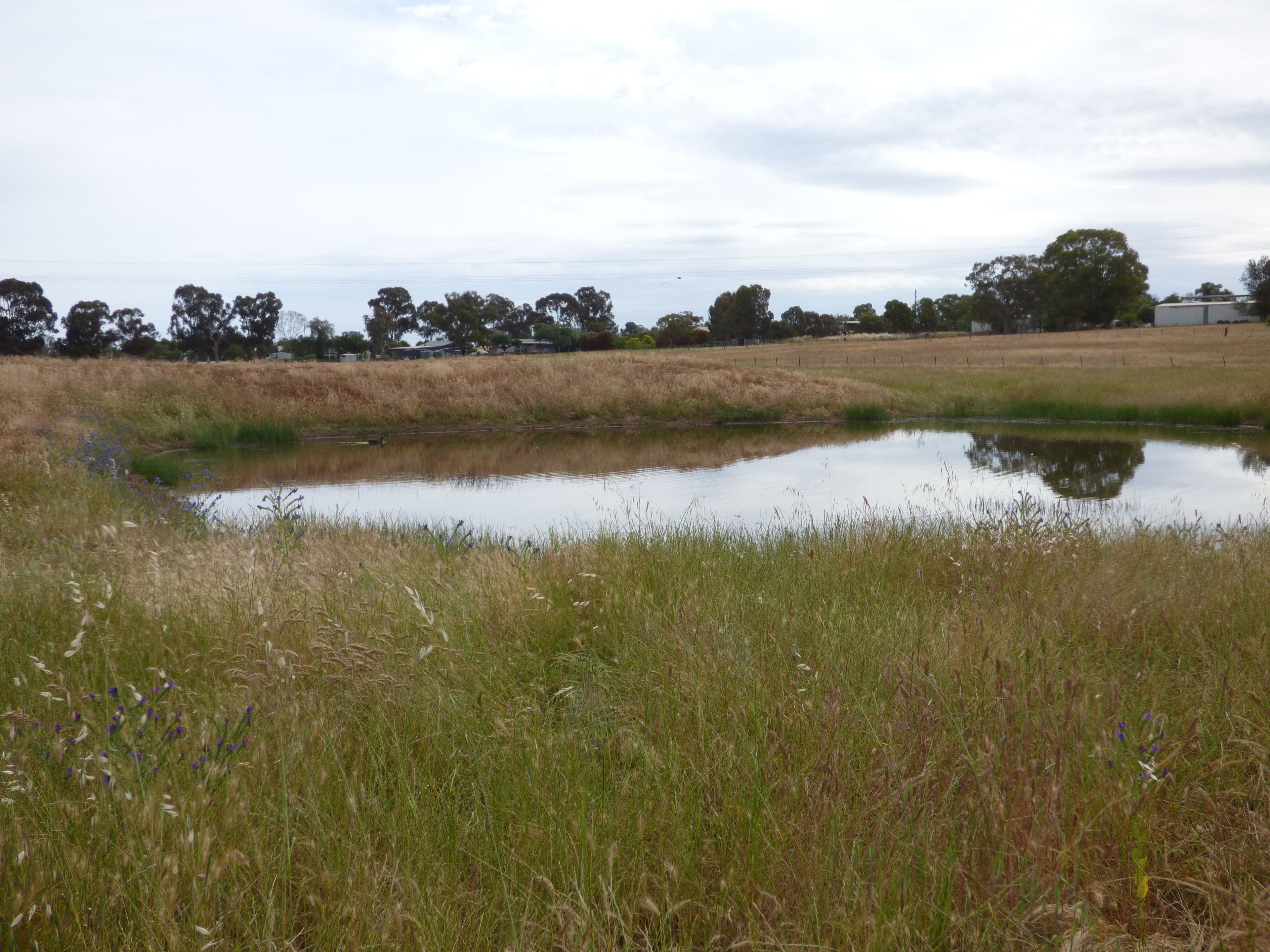 16 Brahman Street, Forbes - Thumbnail 2