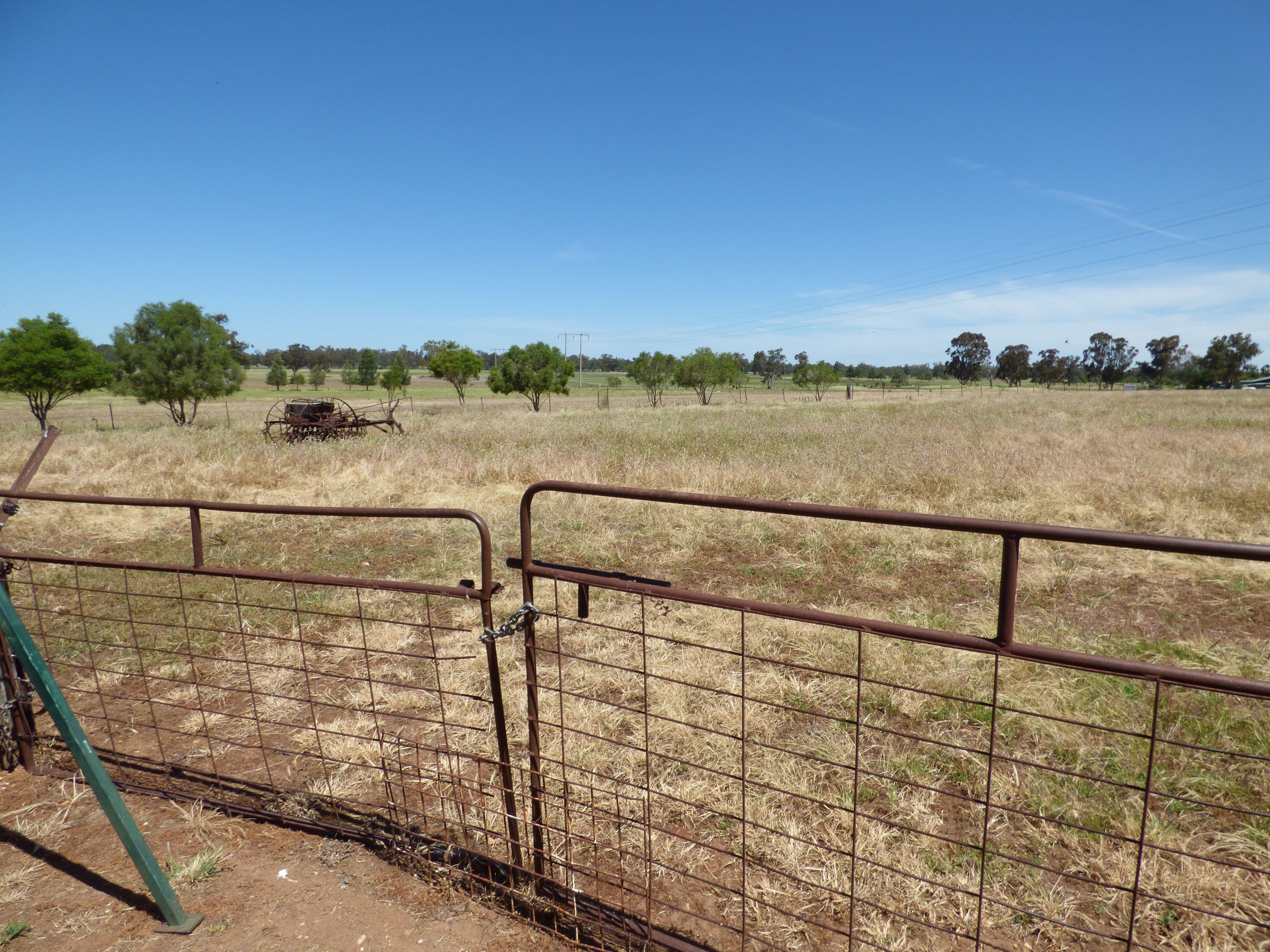 16 Brahman Street, Forbes - Thumbnail 6