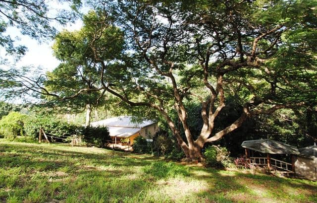 86 Red Gully Road, AMAMOOR QLD 4570, Amamoor - Image 1