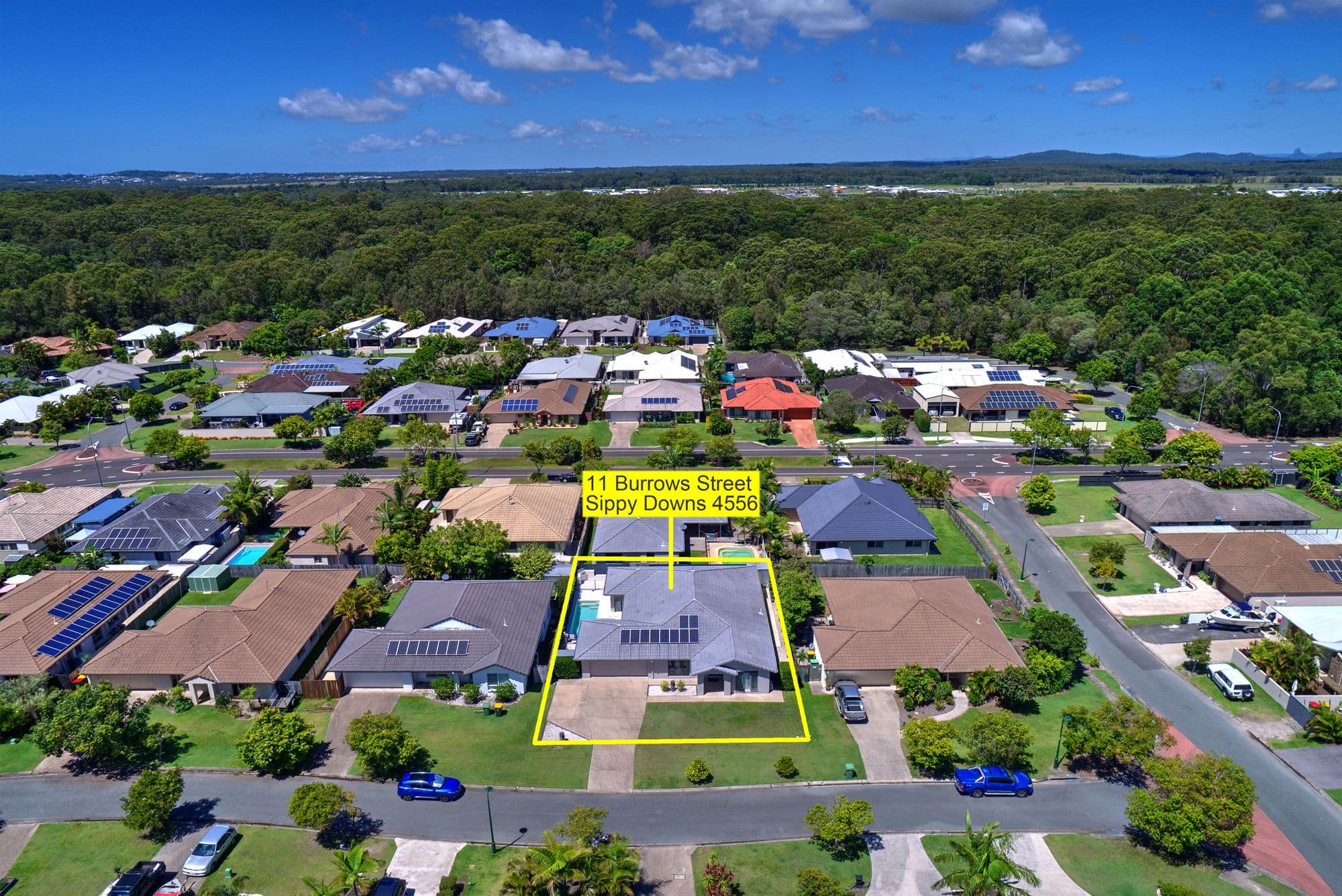 11 Burrows Street, Sippy Downs QLD 4556, Sippy Downs - Thumbnail 3