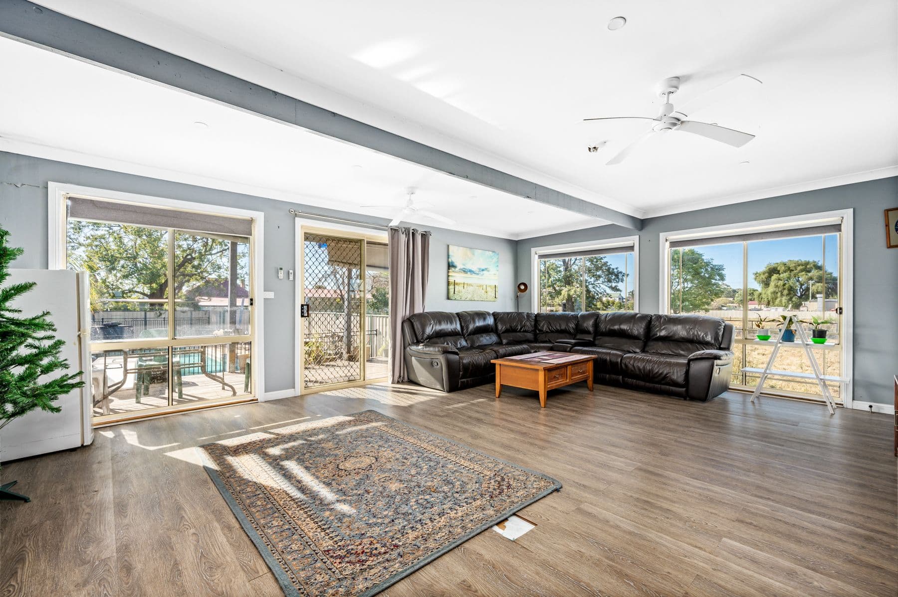 37 Dunolly Road, Singleton NSW 2330, Dunolly - Thumbnail 8