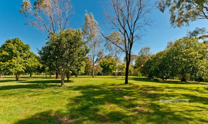 37 Gamelin Crescent, STAFFORD QLD 4053, Stafford - Thumbnail 7