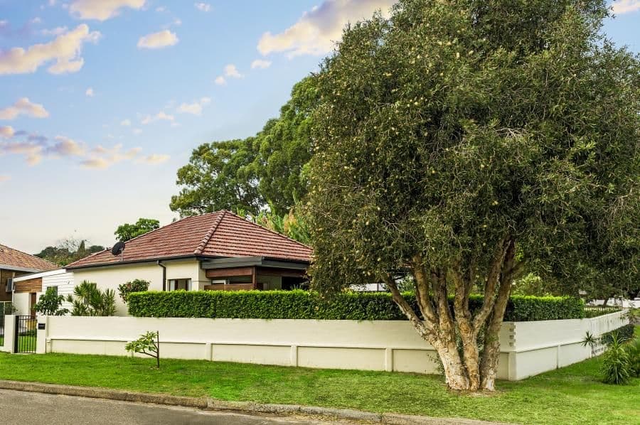 16 Begonia Street, PAGEWOOD NSW 2035, Pagewood - Thumbnail 2