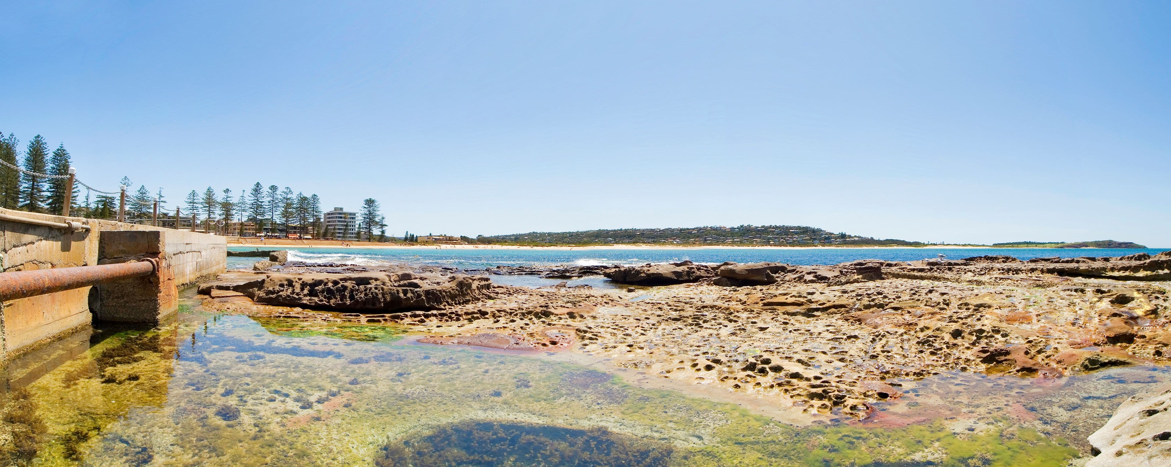 15 Lismore Avenue, Dee Why NSW 2099, Dee Why - Thumbnail 3