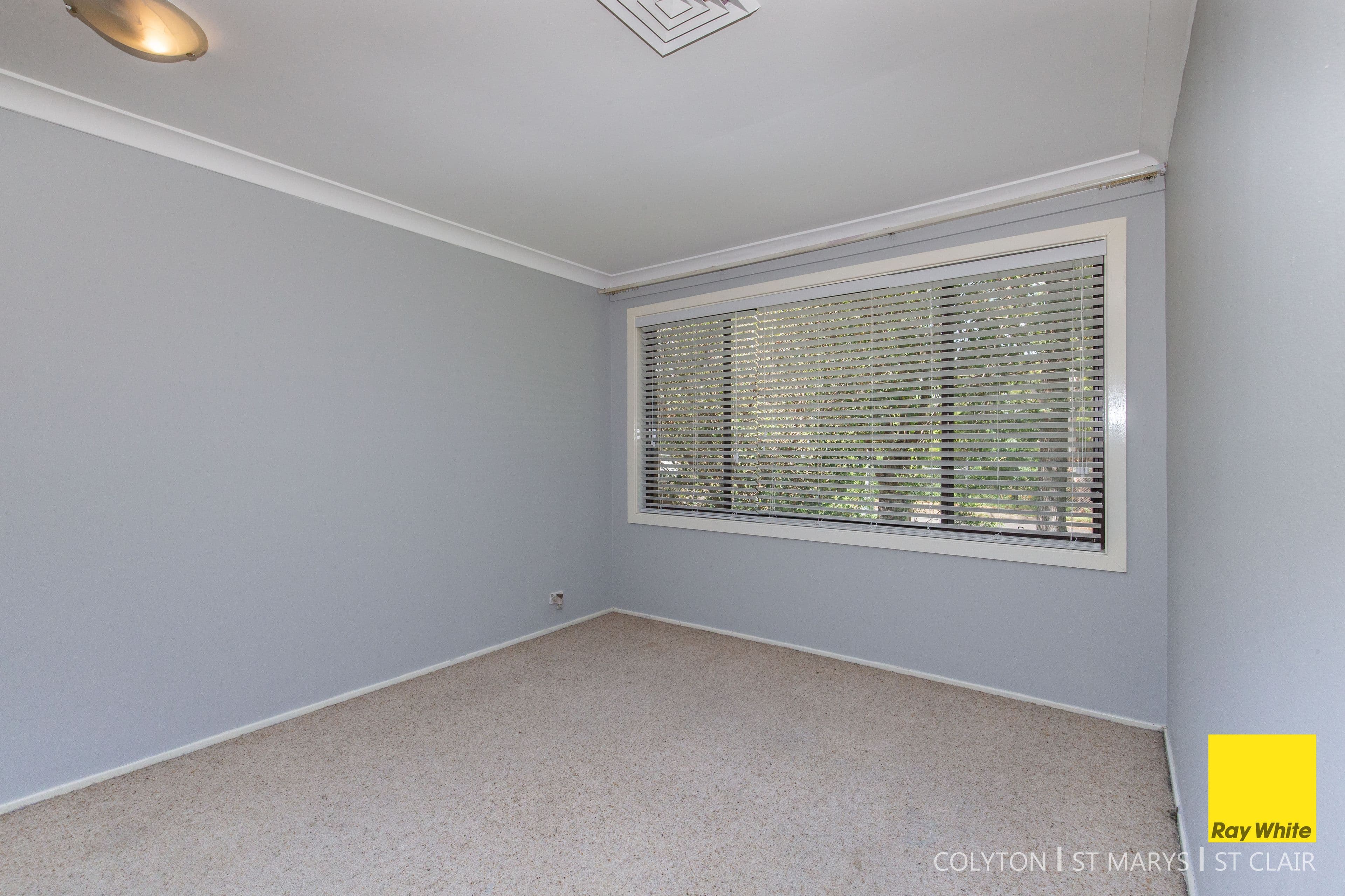 29 Glennie Street, Colyton - Thumbnail 4