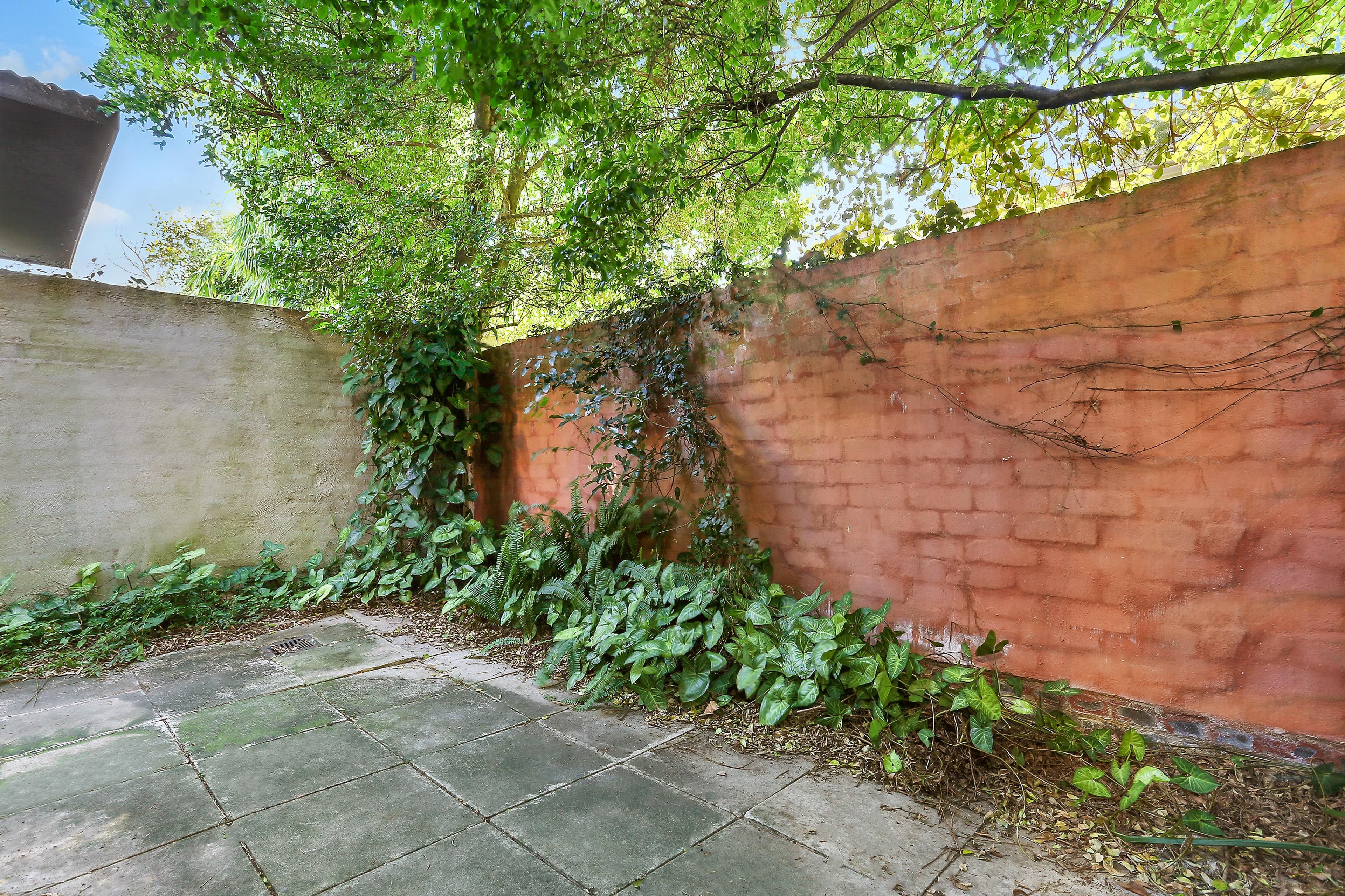 52 Caledonia Street, Paddington - Thumbnail 3