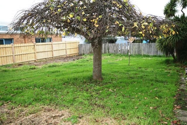 5 Grandview Grove, COWES VIC 3922, Cowes - Thumbnail 3
