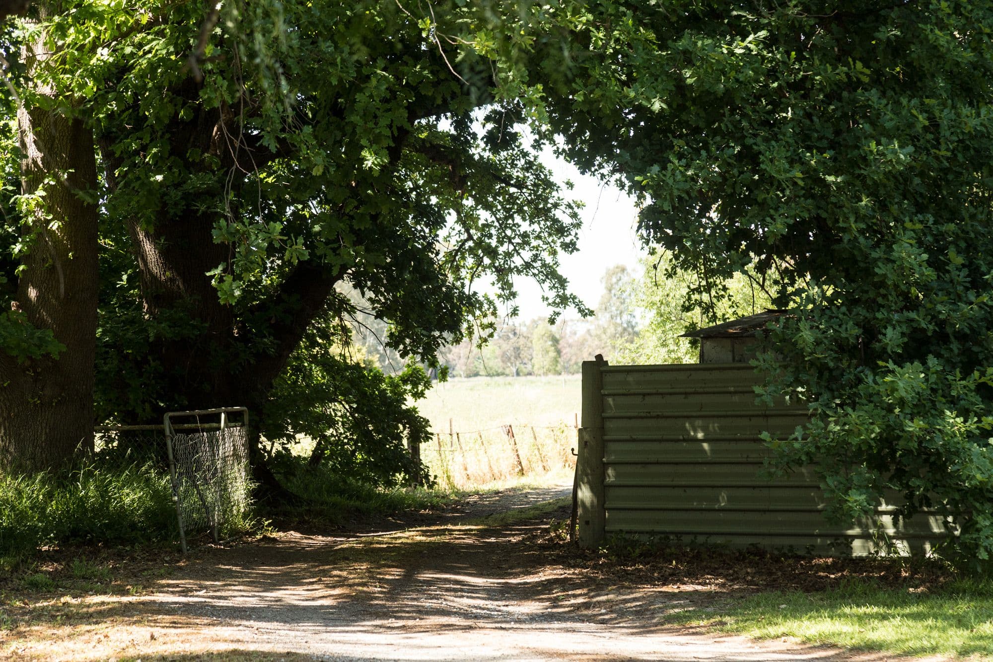 1002 Graham Road, Kyvalley VIC 3621, Kyvalley - Thumbnail 4