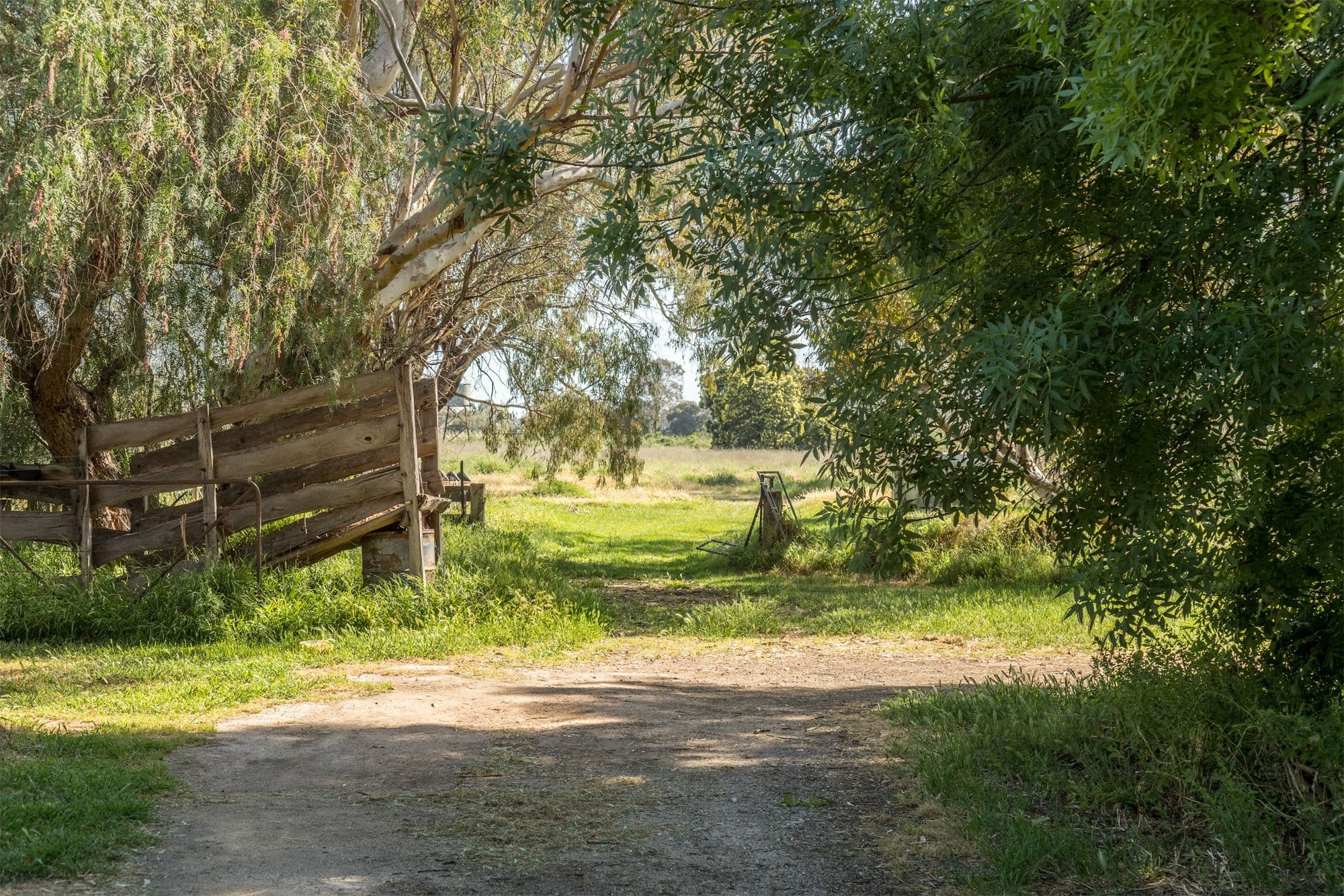 1002 Graham Road, Kyvalley VIC 3621, Kyvalley - Thumbnail 5