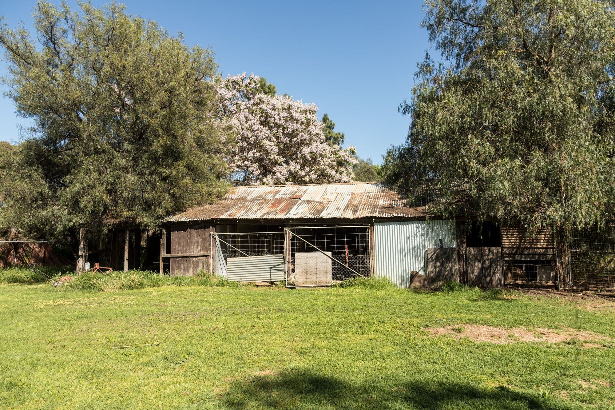1002 Graham Road, Kyvalley VIC 3621, Kyvalley - Thumbnail 6