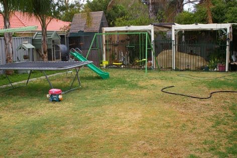 3 Rogate Street, BALGA WA 6061, Balga - Thumbnail 2