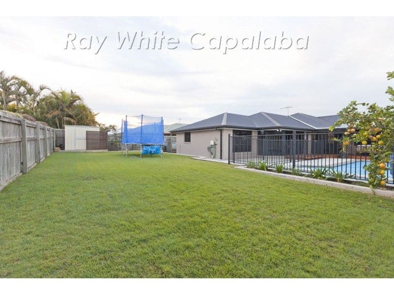 16 Mallan Terrace, BIRKDALE QLD 4159, Birkdale - Thumbnail 8