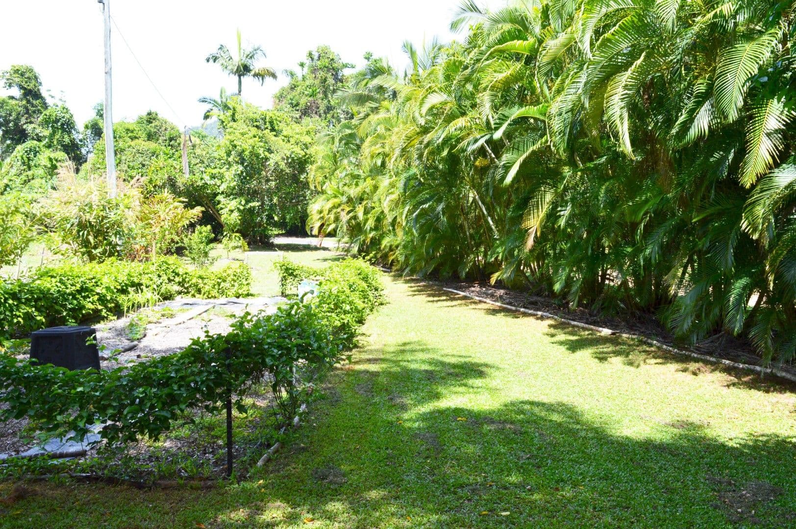 Lot 3, 627 Bingil Bay Road, Bingil Bay QLD 4852, Bingil Bay - Thumbnail 7