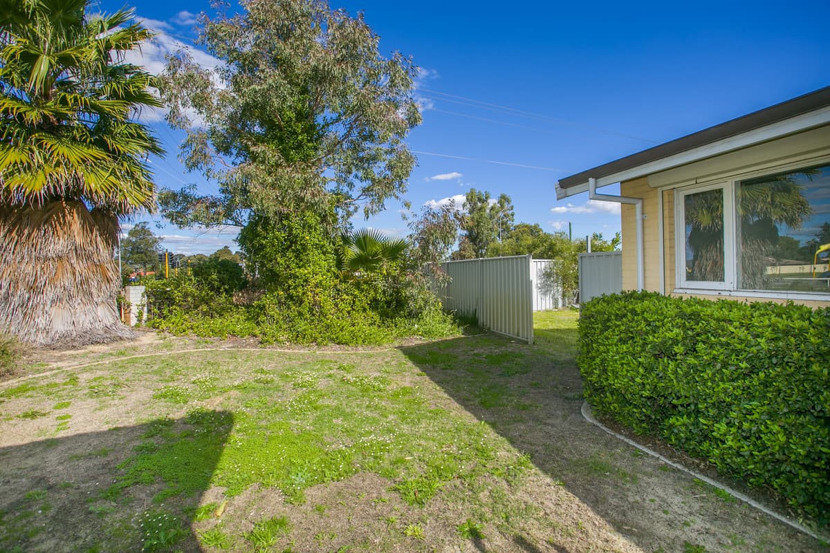 1 Mirrabooka Avenue, Girrawheen, WA, Girrawheen - Thumbnail 3