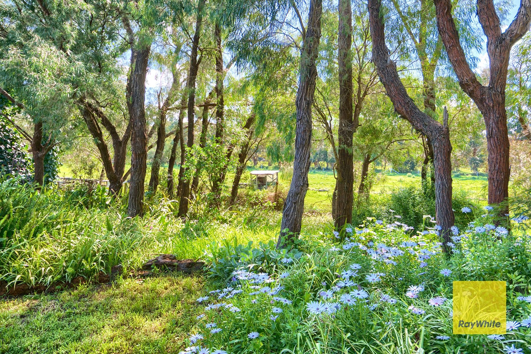46 Princess Avenue, Robinson WA 6330, Robinson - Thumbnail 5
