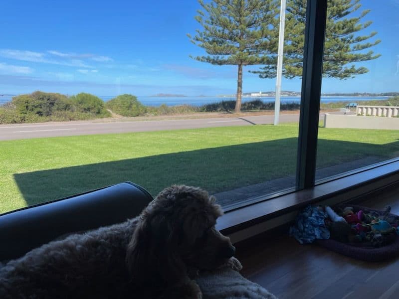 53 Castletown Quays, Castletown WA 6450, Castletown - Thumbnail 5