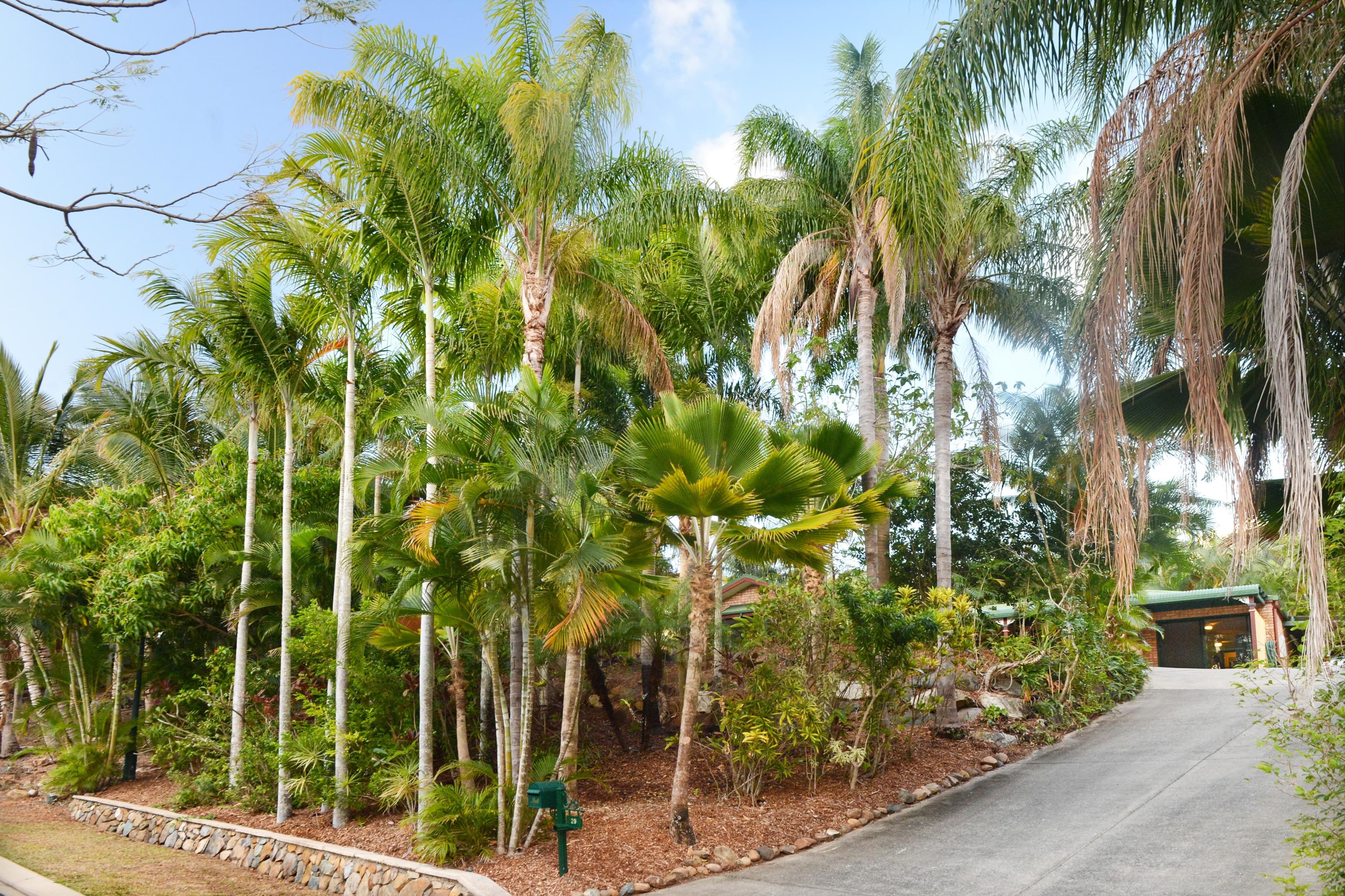 29 Sandpiper Crescent, Jubilee Pocket QLD 4802, Jubilee Pocket - Thumbnail 4