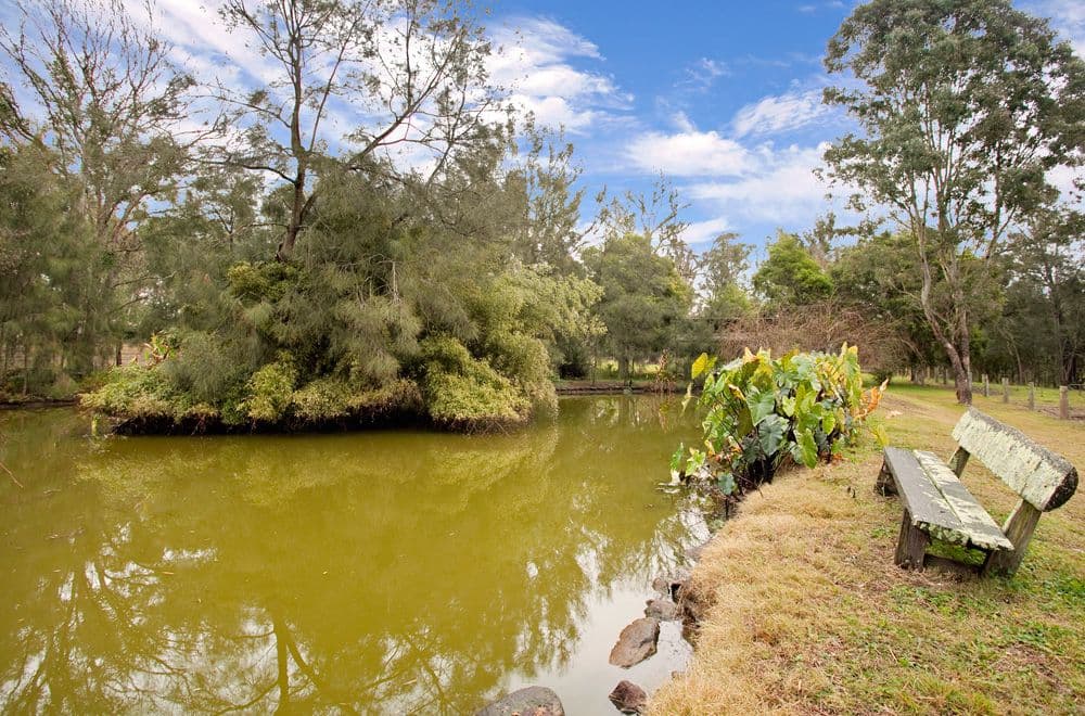 1 Sturt Place, WINDSOR DOWNS NSW 2756, Windsor Downs - Thumbnail 4