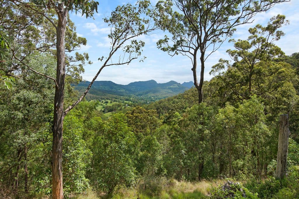111 Nancol Drive, Tallebudgera Valley QLD 4228, Tallebudgera Valley - Thumbnail 3