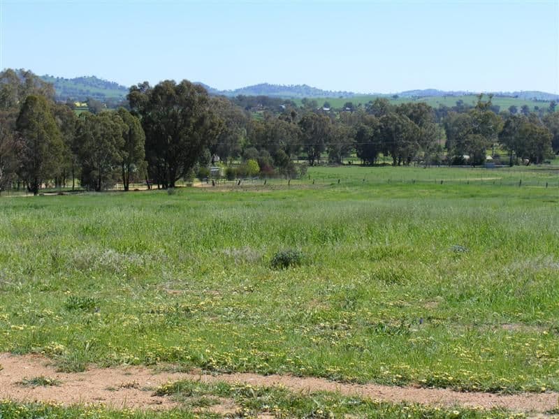 Lot 29 Kangaroo Flat Road, COWRA NSW 2794, Cowra - Image 1