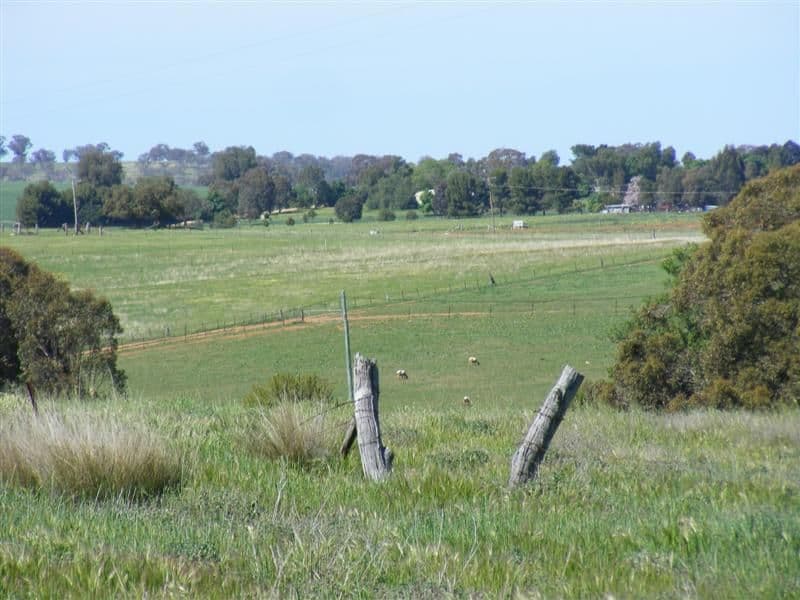 Lot 29 Kangaroo Flat Road, COWRA NSW 2794, Cowra - Thumbnail 2