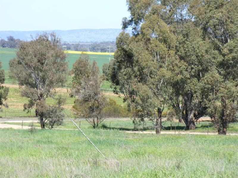 Lot 29 Kangaroo Flat Road, COWRA NSW 2794, Cowra - Thumbnail 4