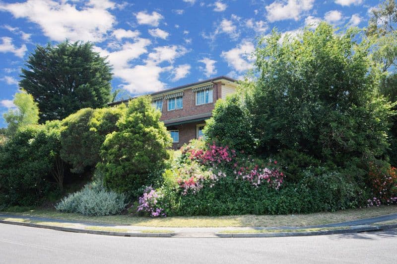 17 Struan Avenue, MOOROOLBARK VIC 3138, Mooroolbark - Thumbnail 6