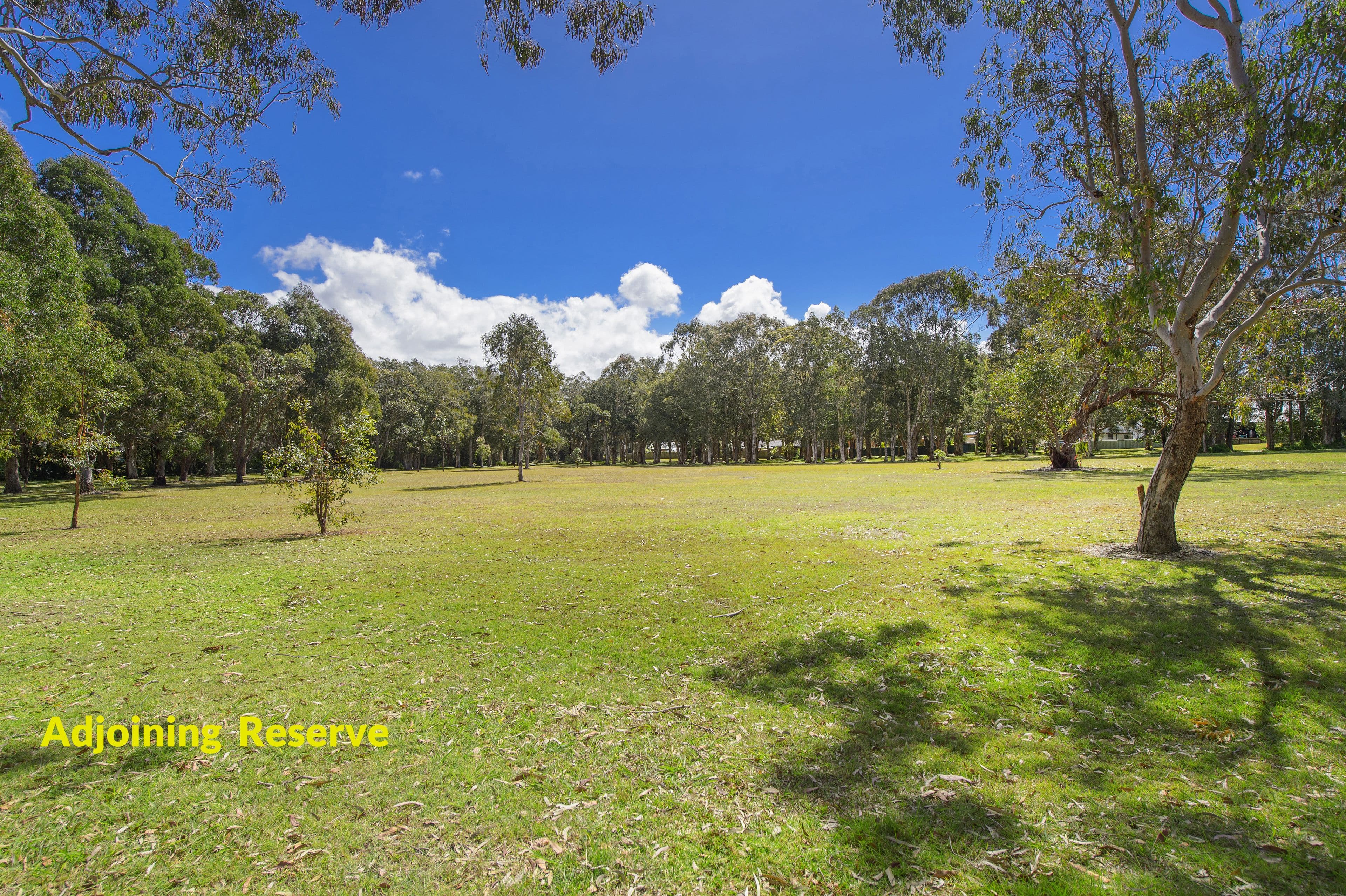17 The Boom, Port Macquarie - Thumbnail 7