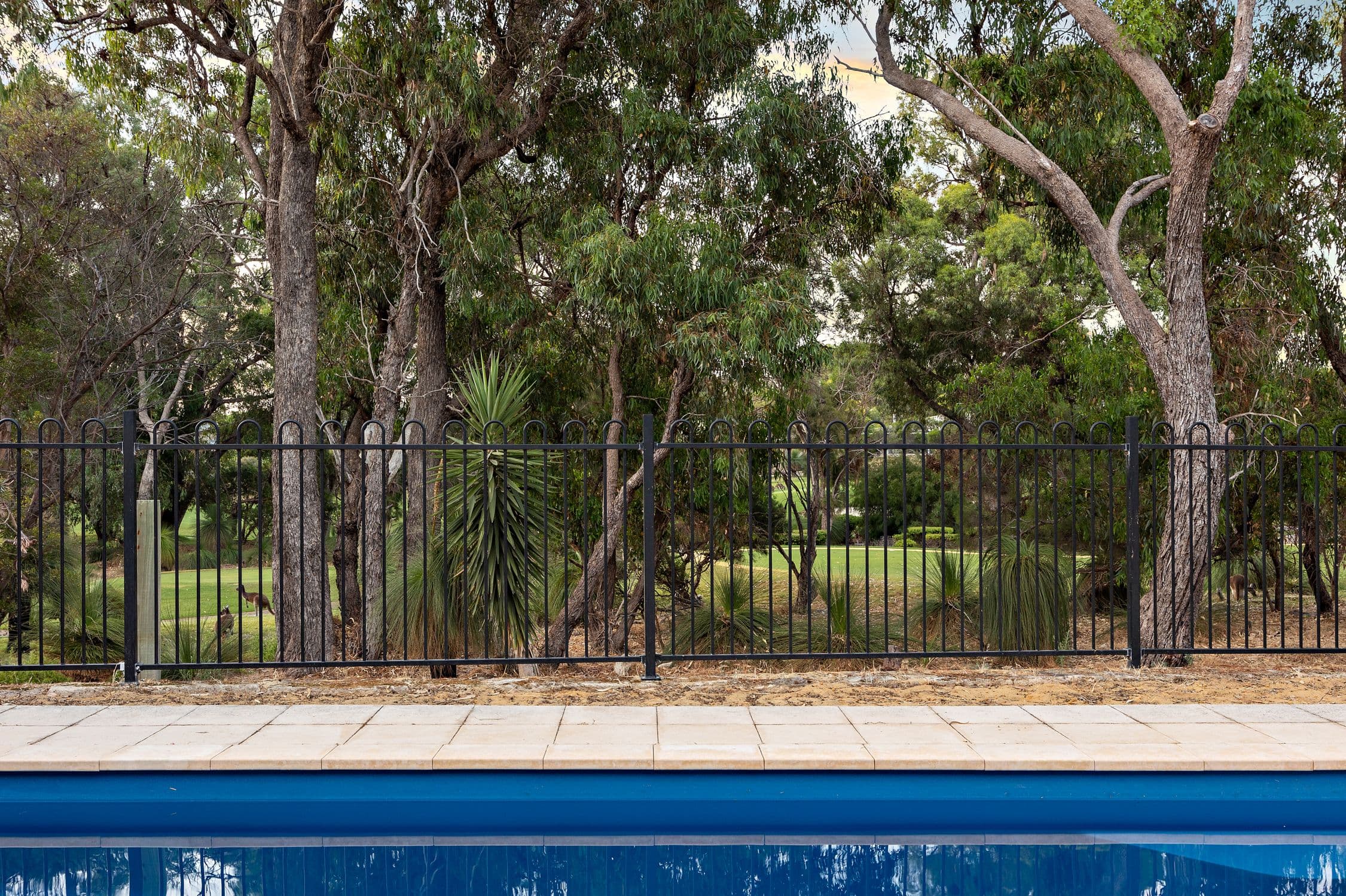 87 Royal Melbourne Avenue, Connolly WA 6027, Connolly - Thumbnail 2