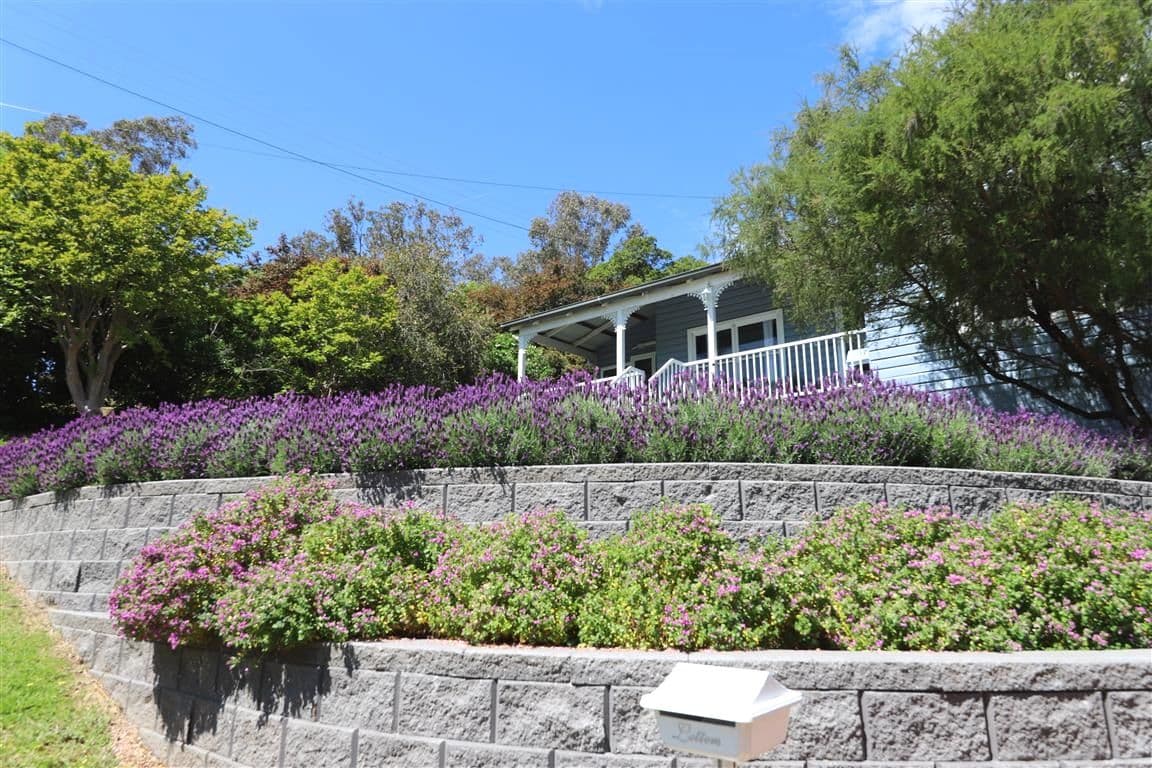 210 Wynyard Street, Tumut NSW 2720, Tumut - Thumbnail 4
