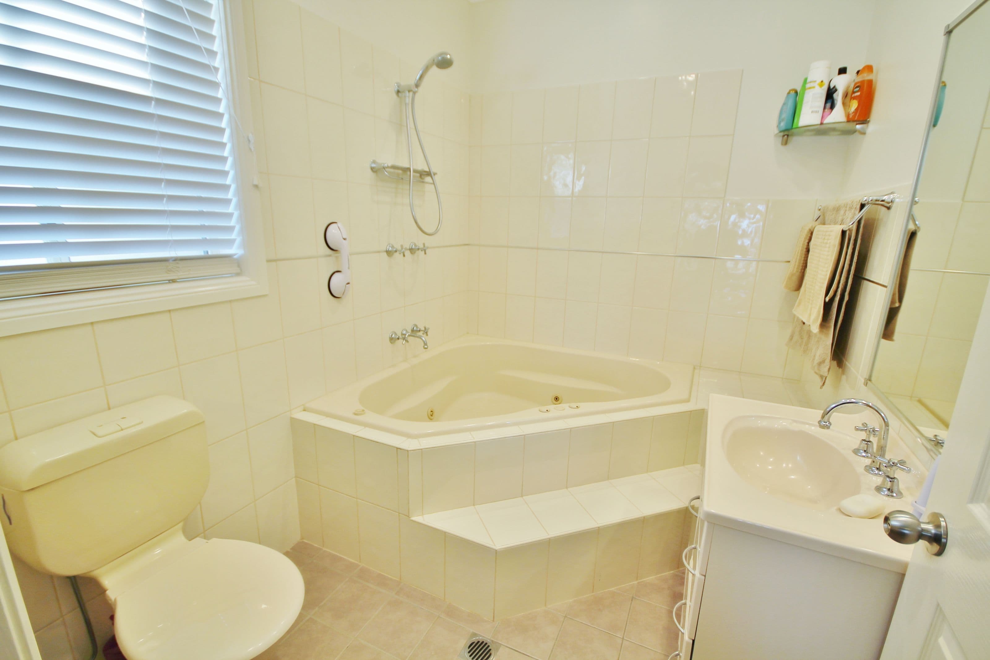 39 Burrows Road, Young NSW 2594, Young - Thumbnail 6