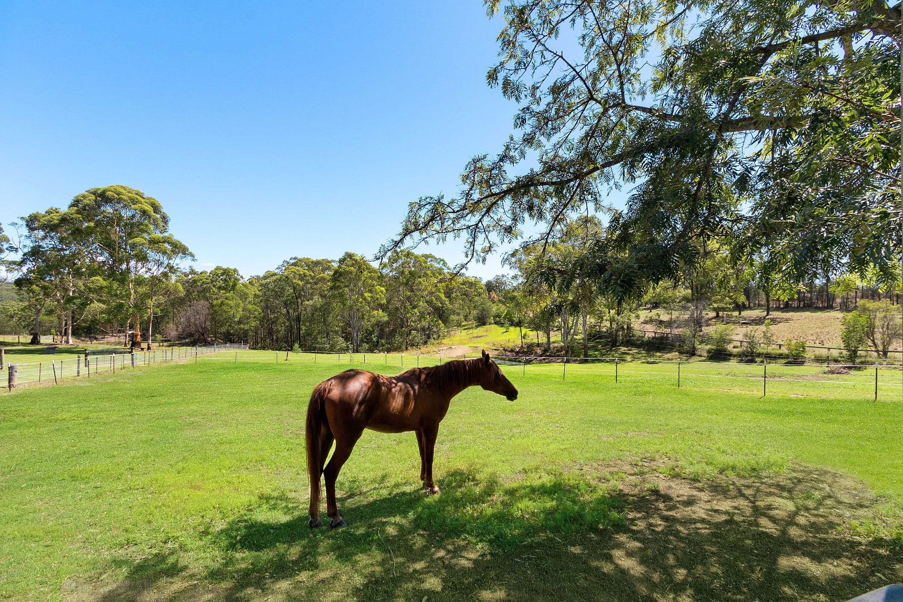 407 East Kurrajong Road, East Kurrajong - Thumbnail 2