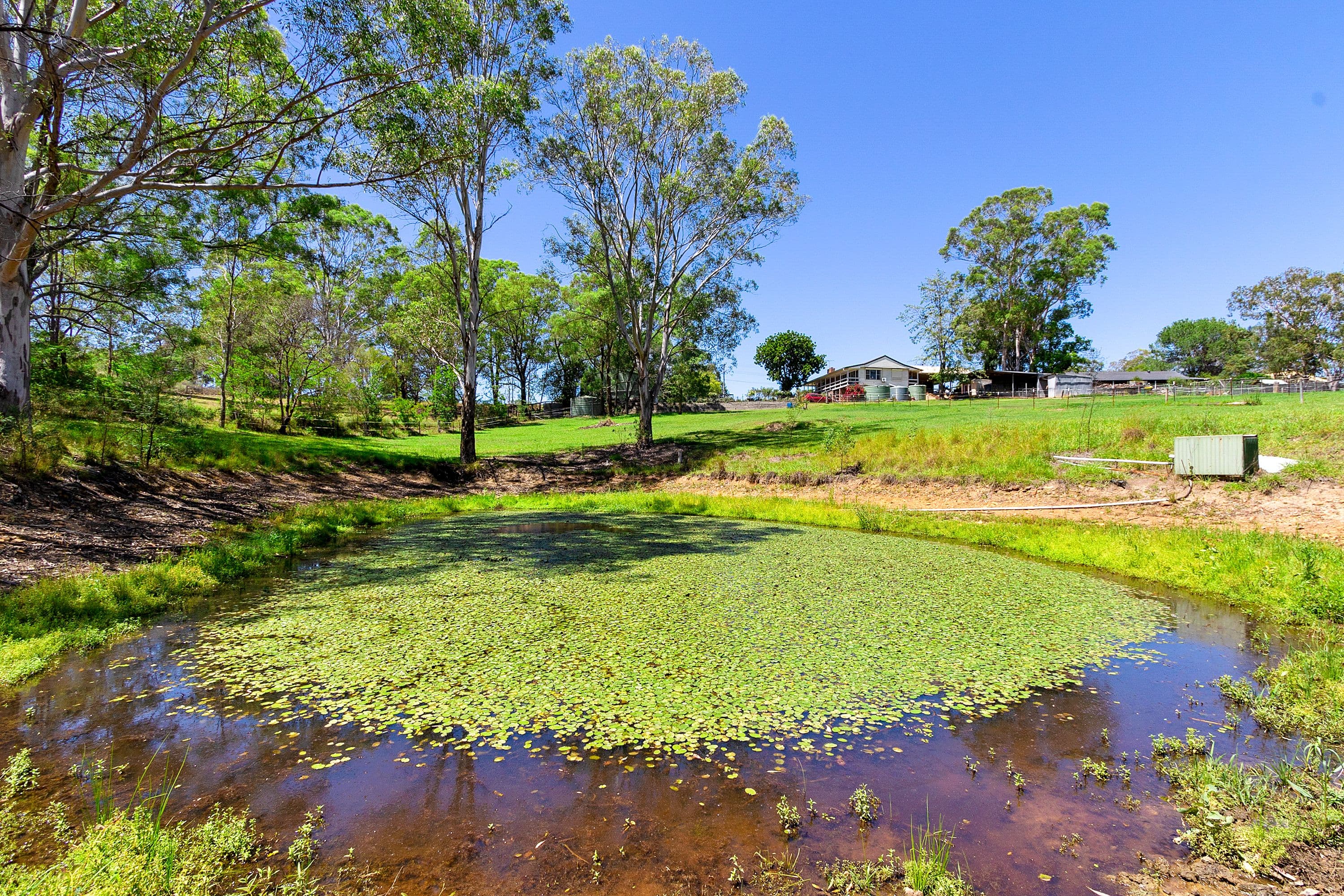 407 East Kurrajong Road, East Kurrajong - Thumbnail 3