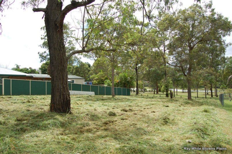 14 Forestglen Crescent, BROWNS PLAINS QLD 4118, Browns Plains - Thumbnail 3