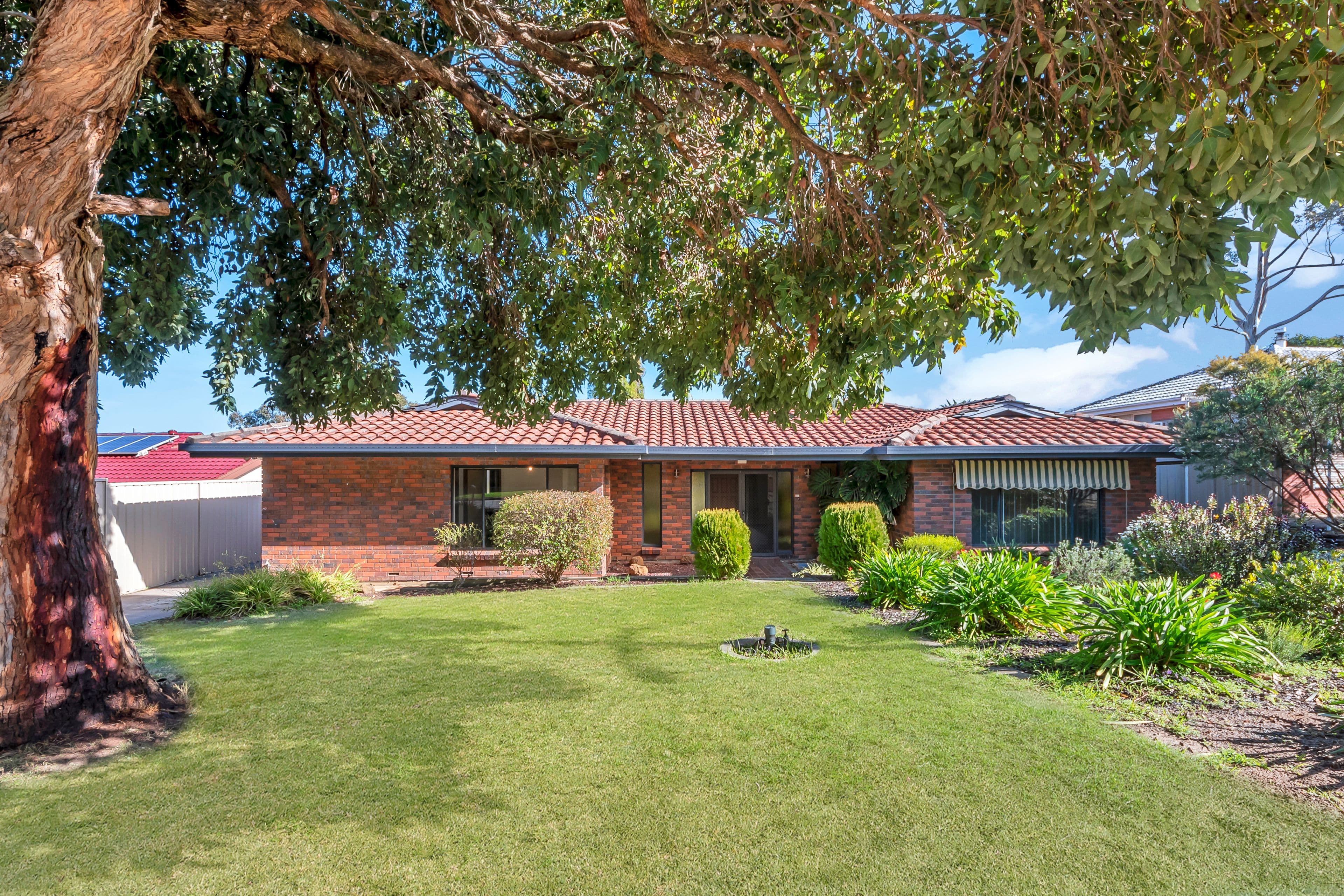 12 David Street, Happy Valley SA 5159, Happy Valley - Image 1