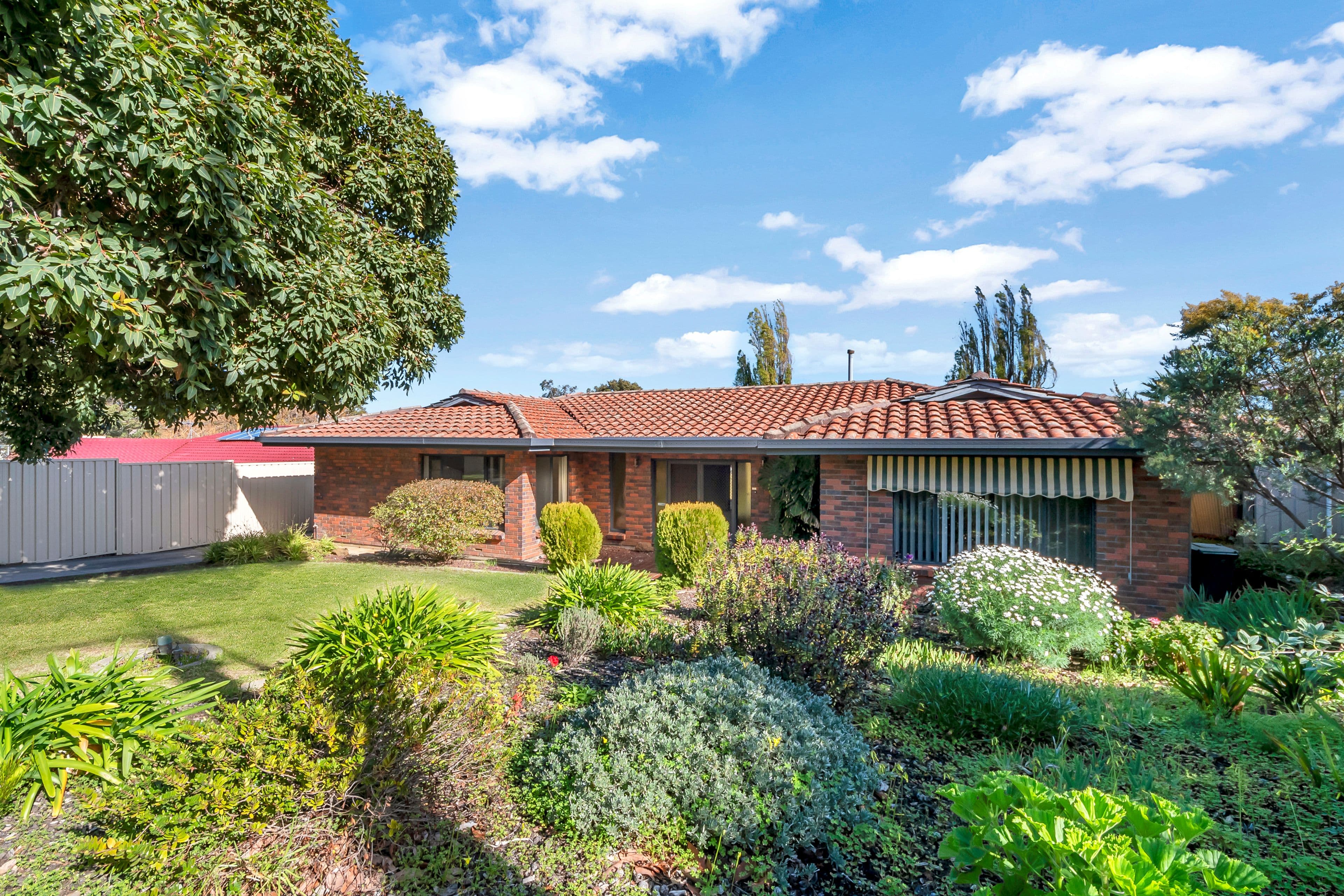 12 David Street, Happy Valley SA 5159, Happy Valley - Thumbnail 3