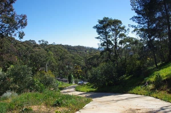 20 old belair Road, Belair SA 5052, Belair - Thumbnail 2