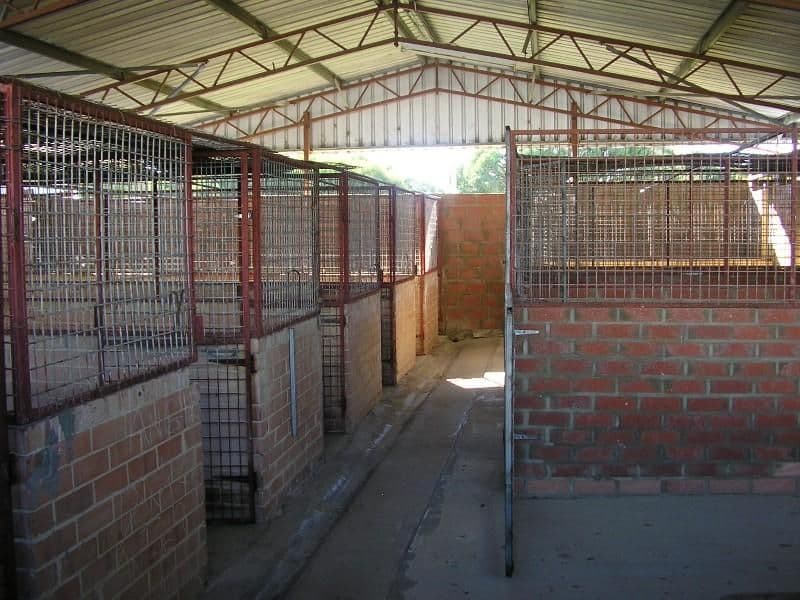 10 Windfire Grove, NAMBEELUP WA 6207, Nambeelup - Thumbnail 5